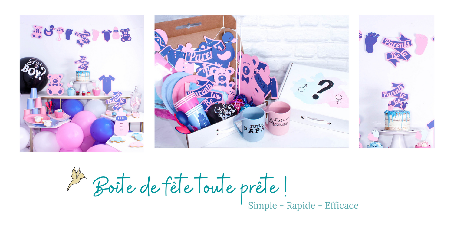 Gender reveal party - fete sur mesure - fete de la révélation _ Un an à la fois 